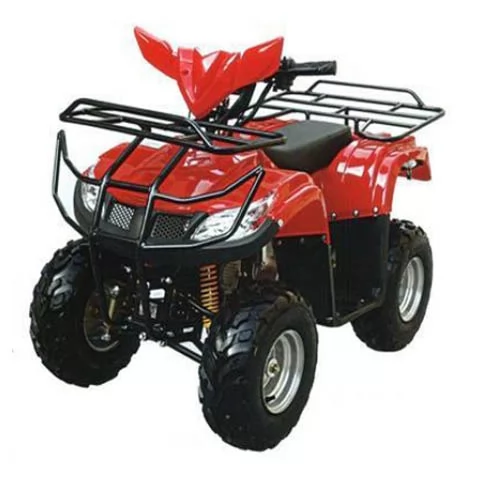 Купить квадроцикл бензиновый Тирекс (T-Rex) 125cc